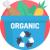 Danh Sách Taxonomy Icon Image Danh Sách Taxonomy Icon Image